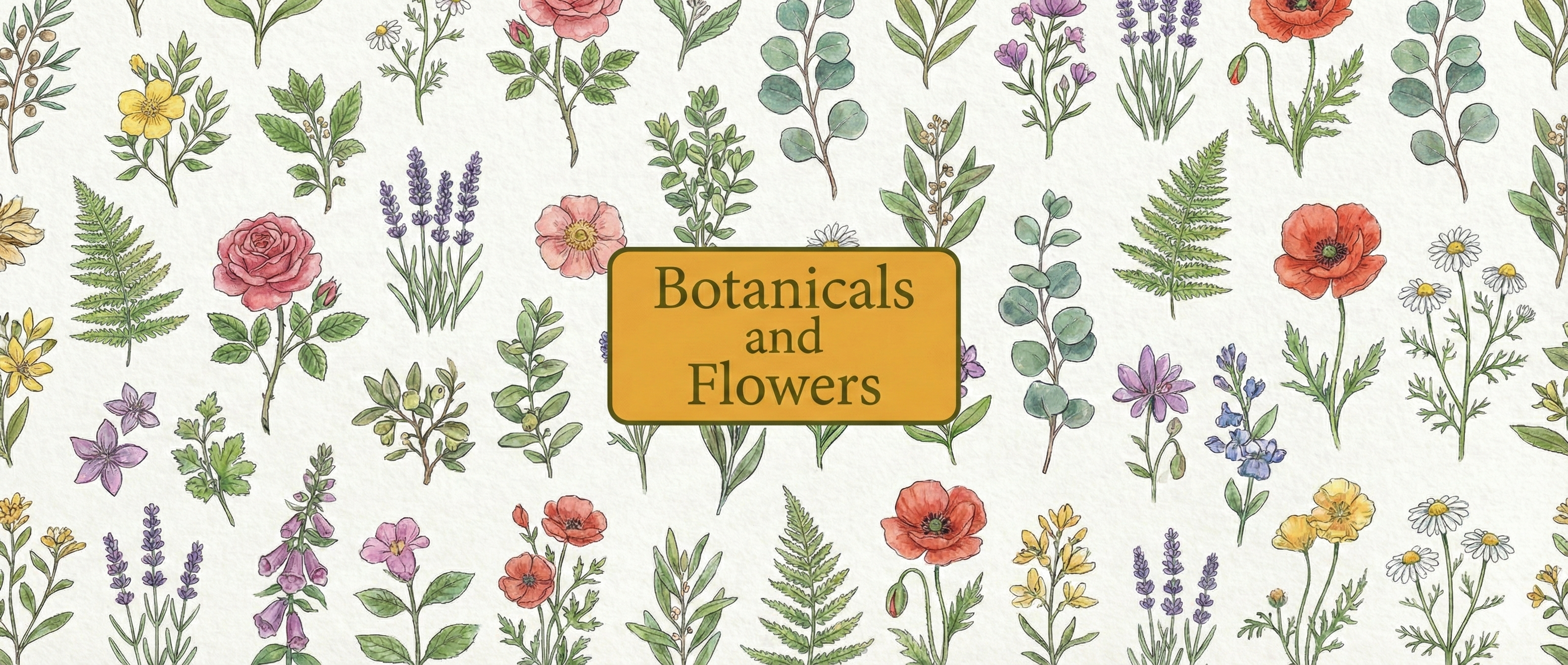 Botanicals & Flowers