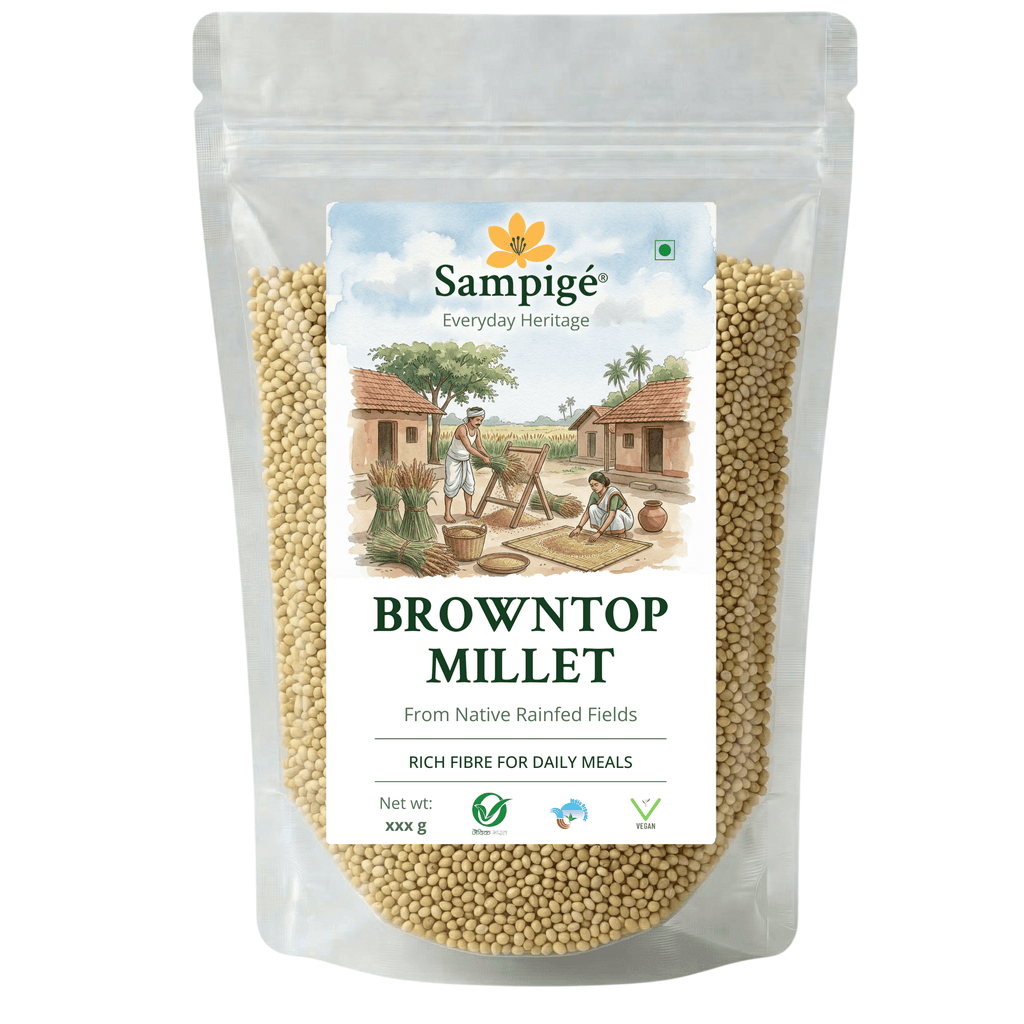 Sampige Browntop Millet
