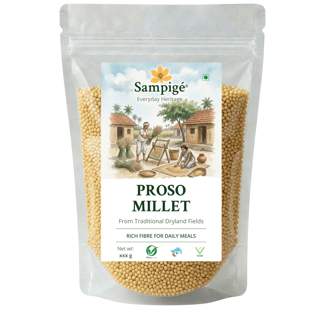 Sampige Proso Millet