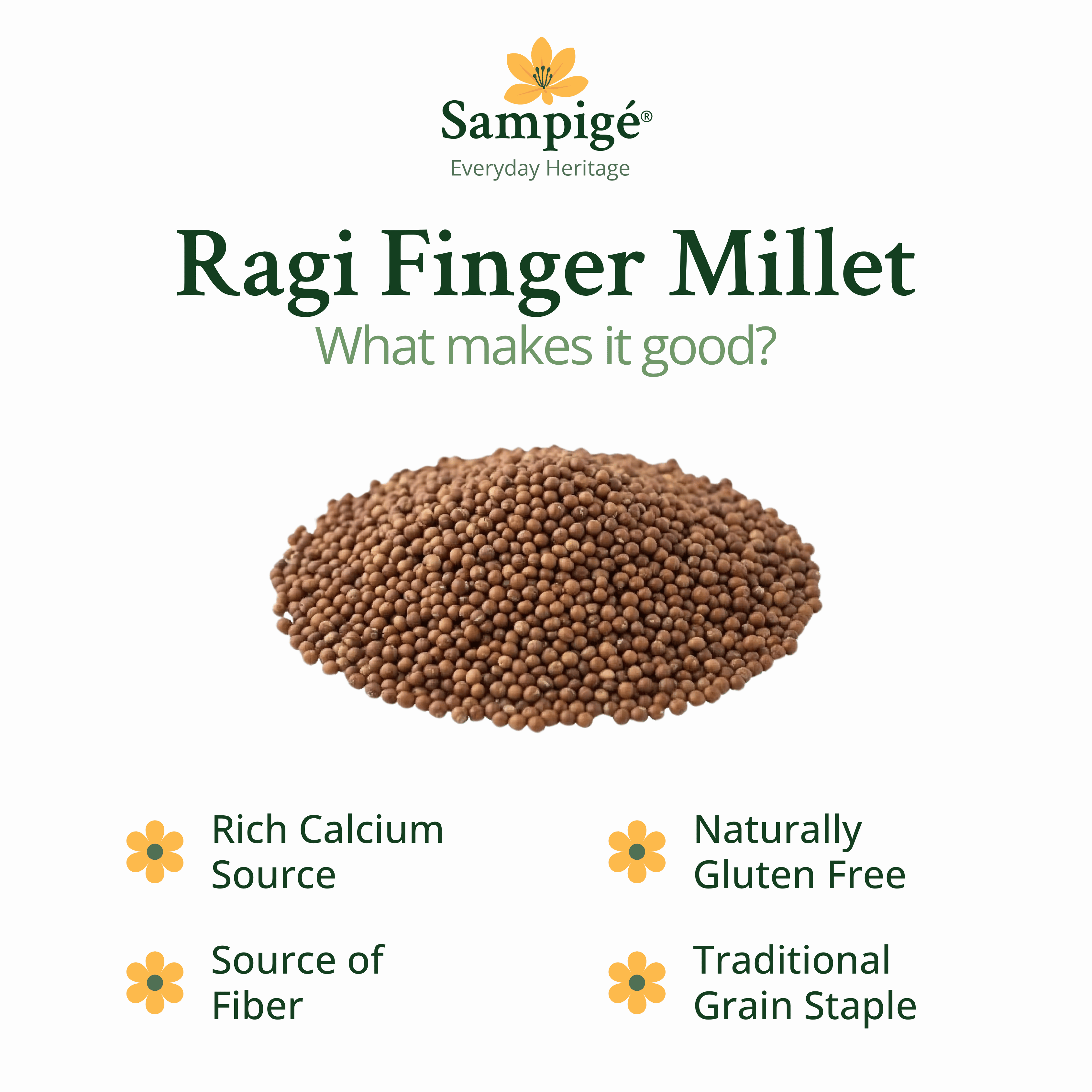 Sampige Ragi Finger Millet