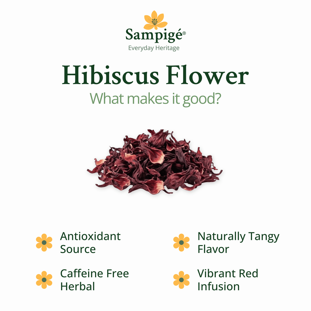 Sampige Hibiscus Flower