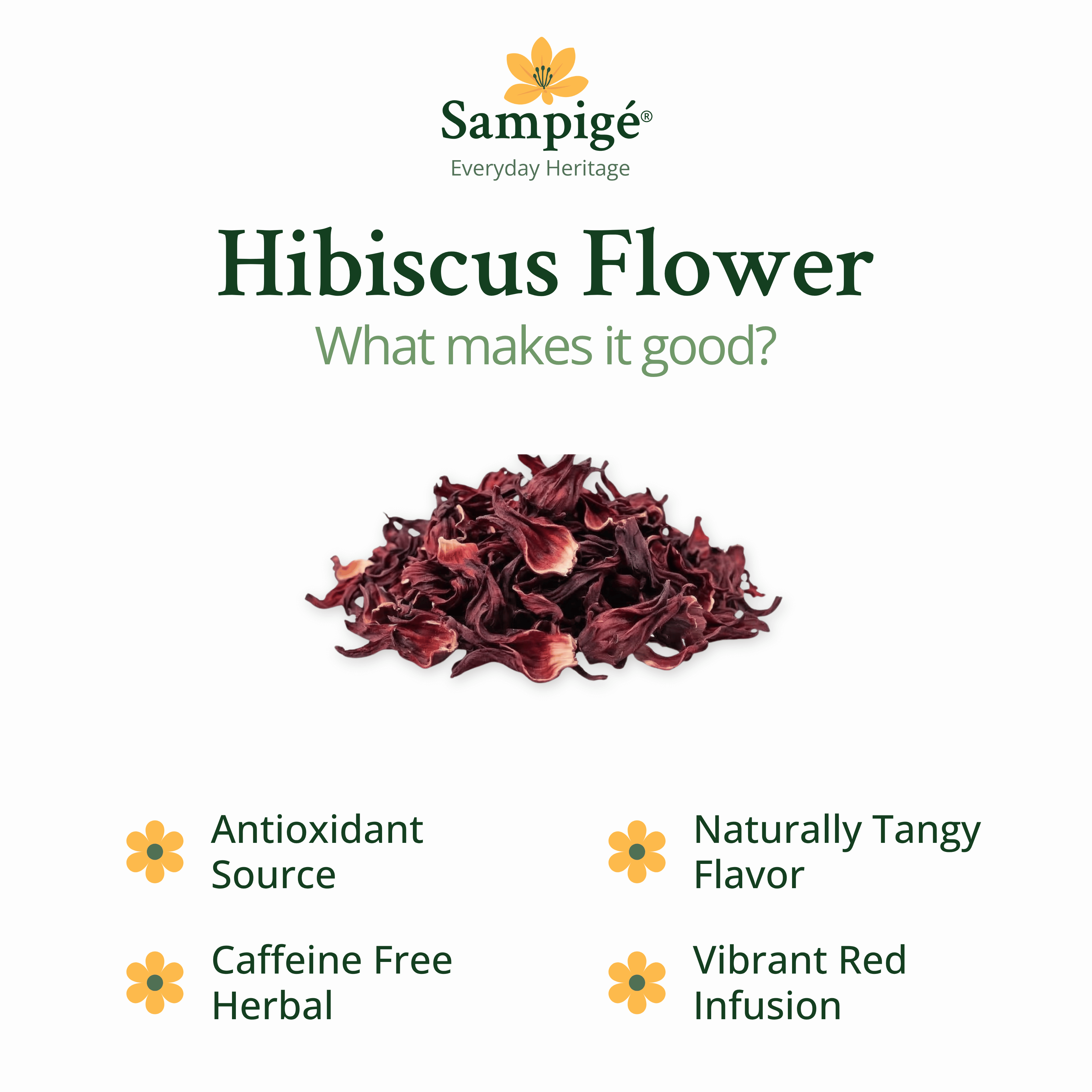 Sampige Hibiscus Flower
