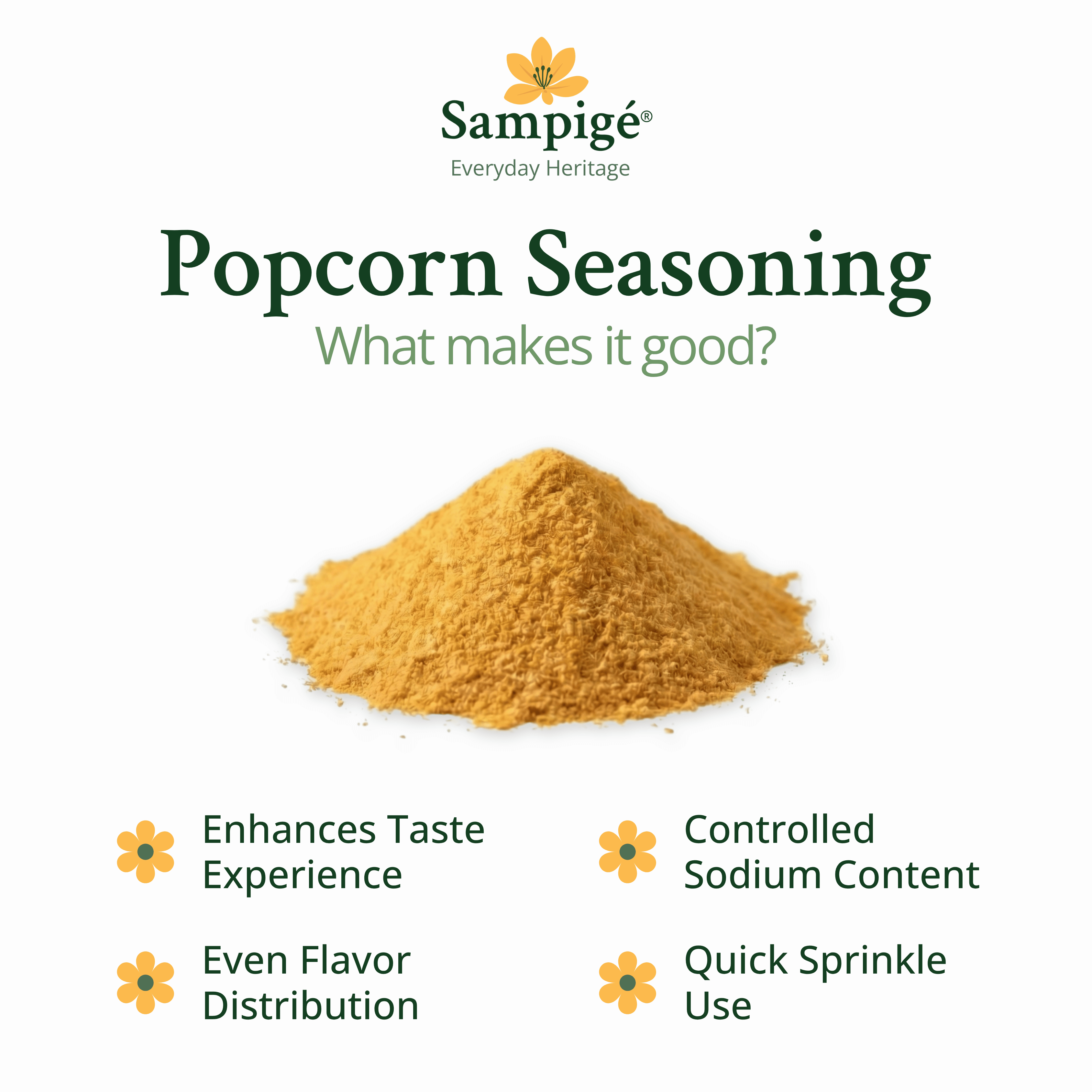 Popcorn Seasoning - Chesse Premium
