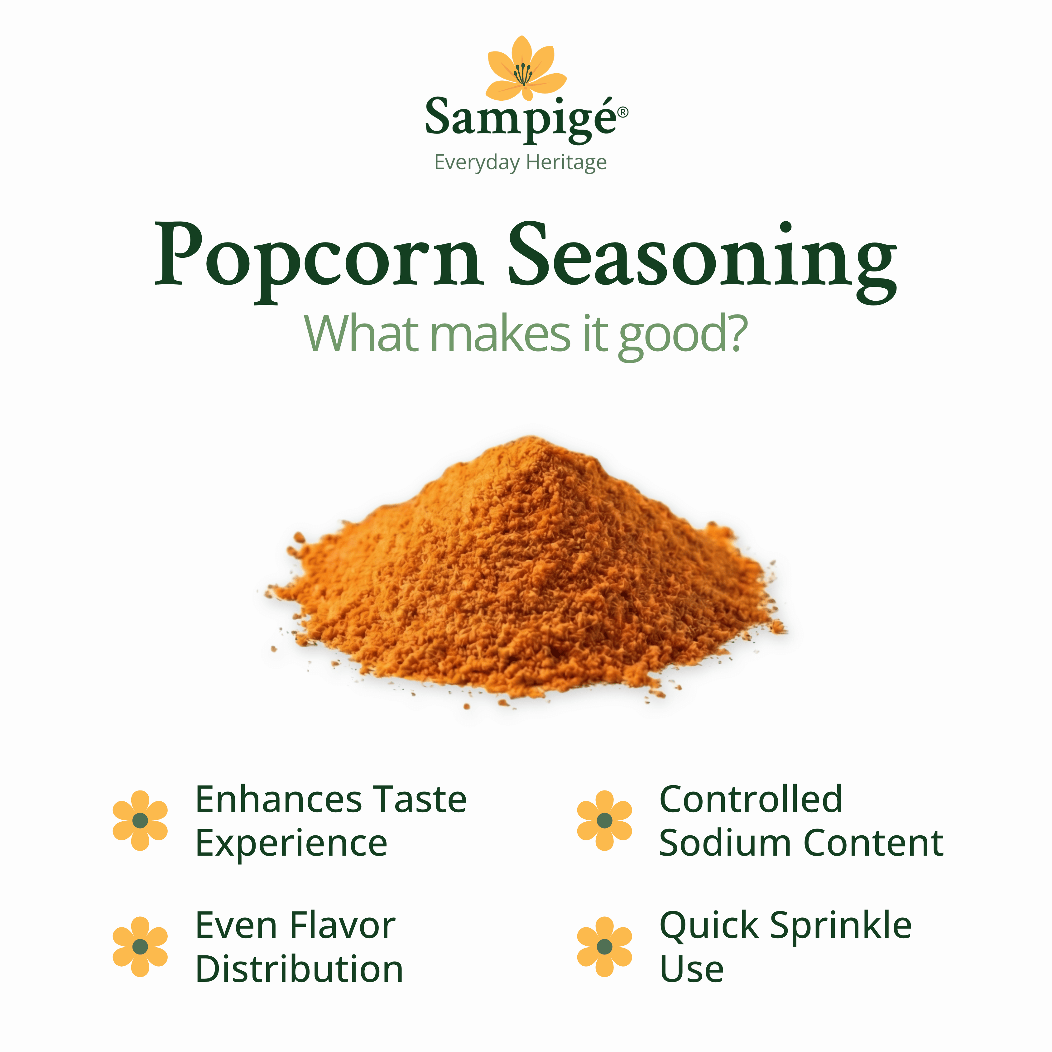 Sampige Popcorn Seasoning - Mexican Chilli Cheese