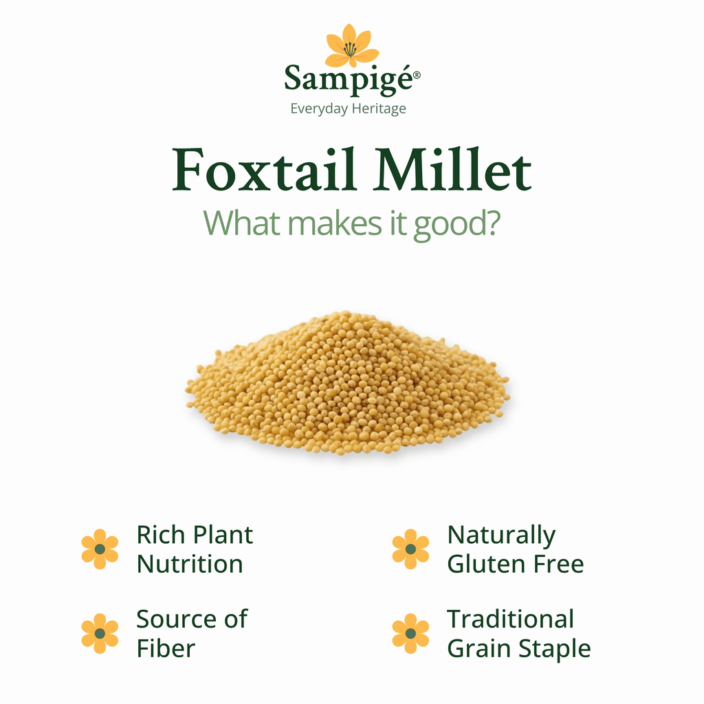 Sampige Foxtail Millet