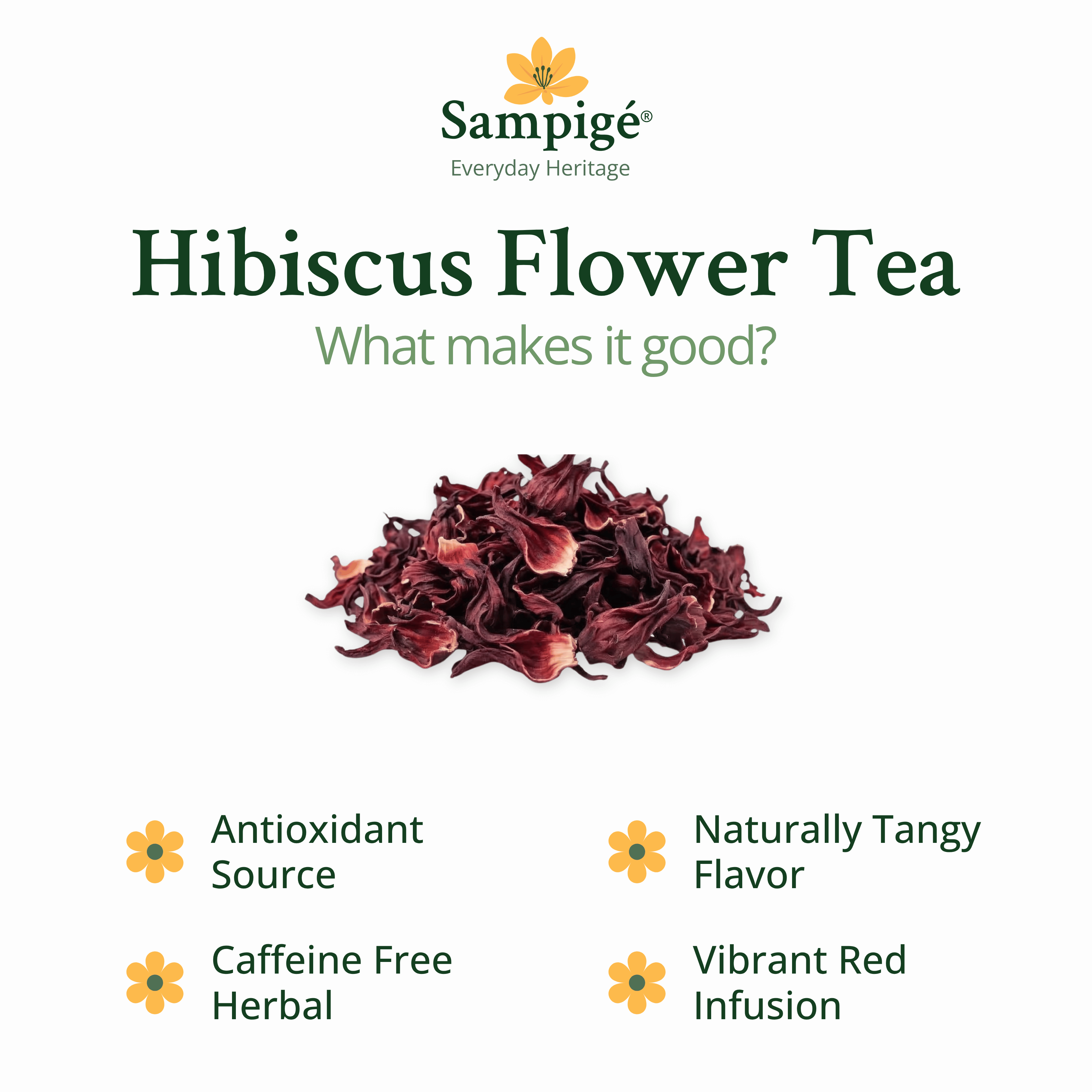 Sampige Hibiscus Flower