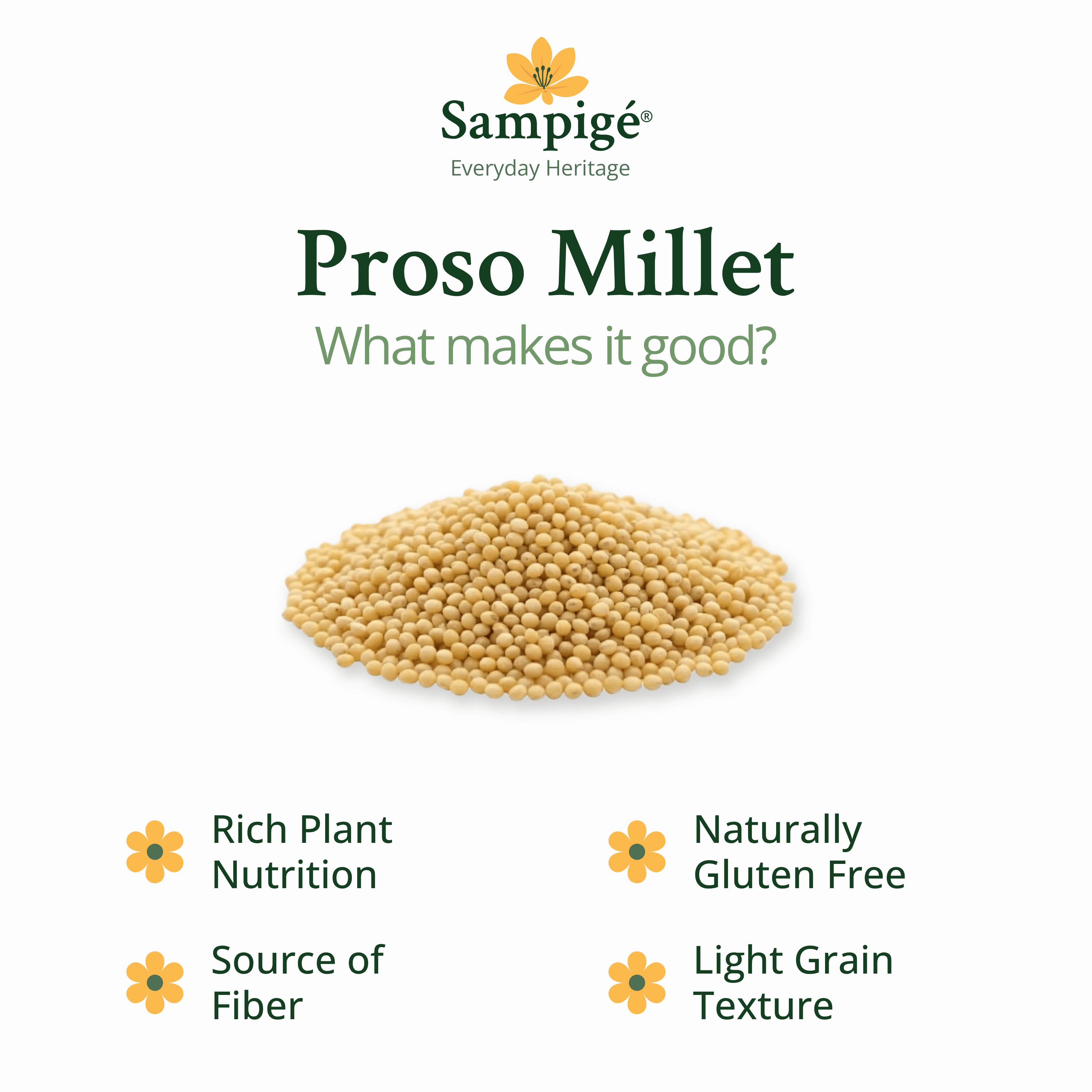 Sampige Proso Millet