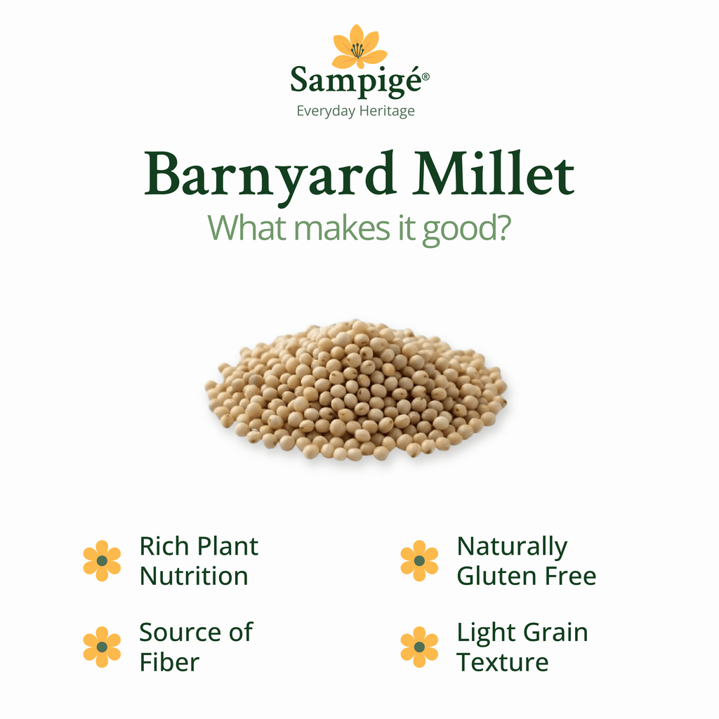 Sampige Barnyard Millet