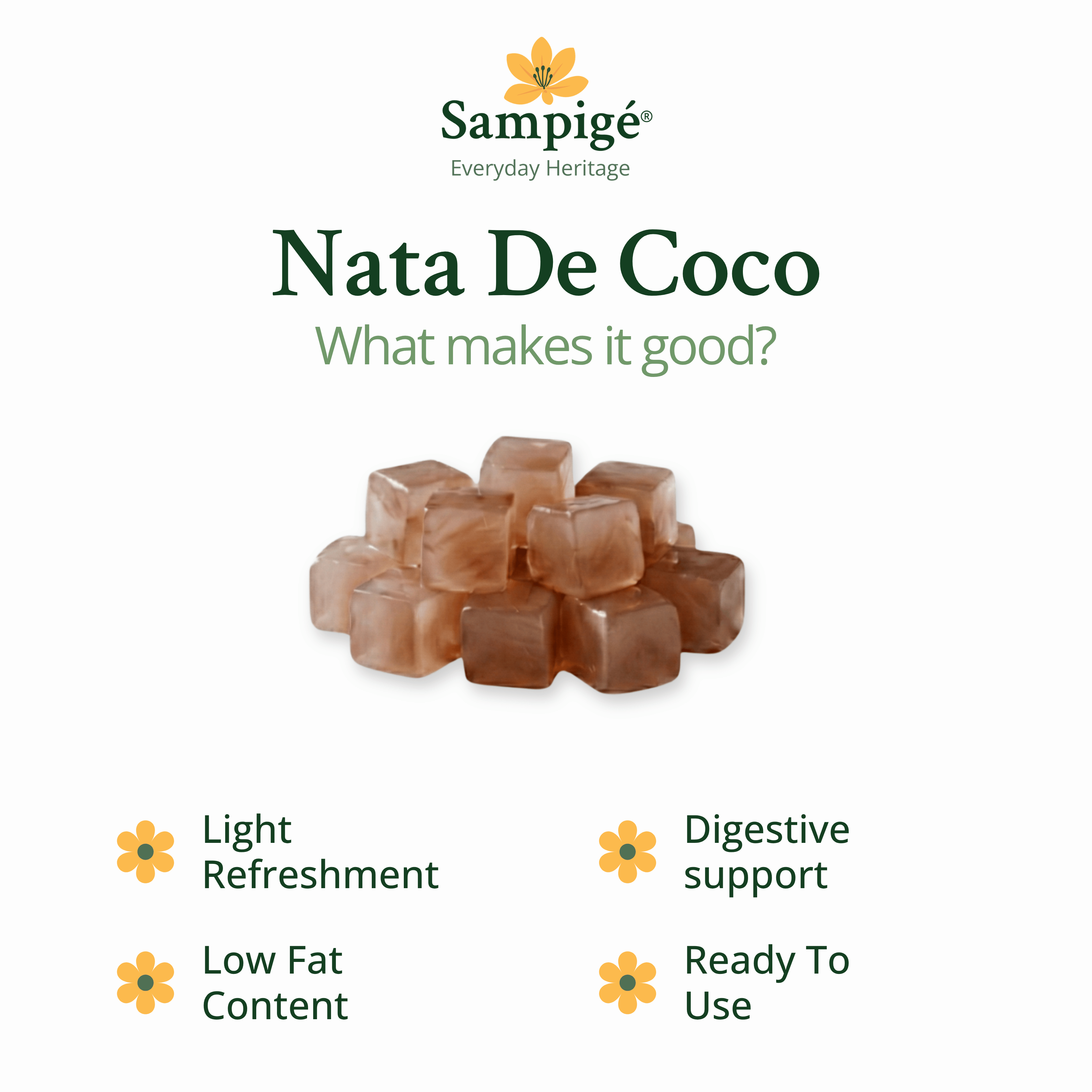 Sampige Nata De Coco - Chocolate