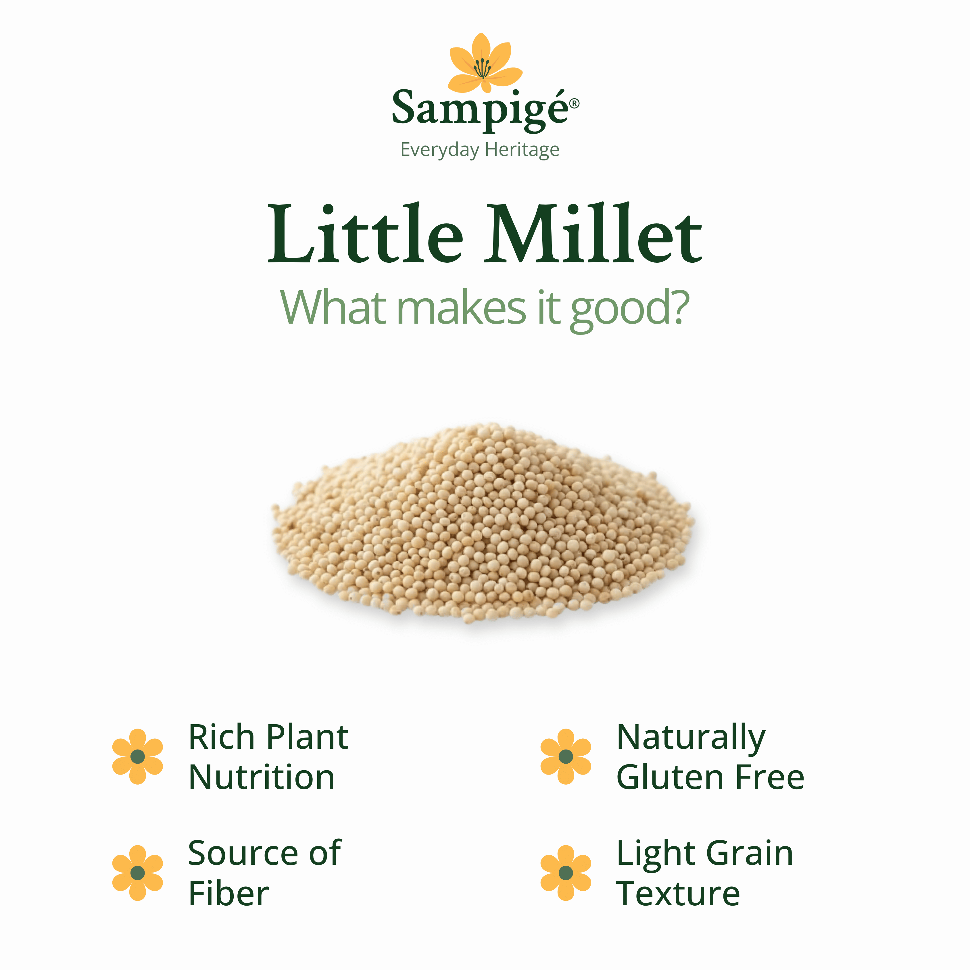 Sampige Little Millet