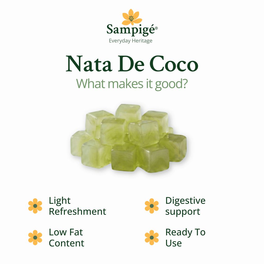 Sampige Nata De Coco - Kiwi