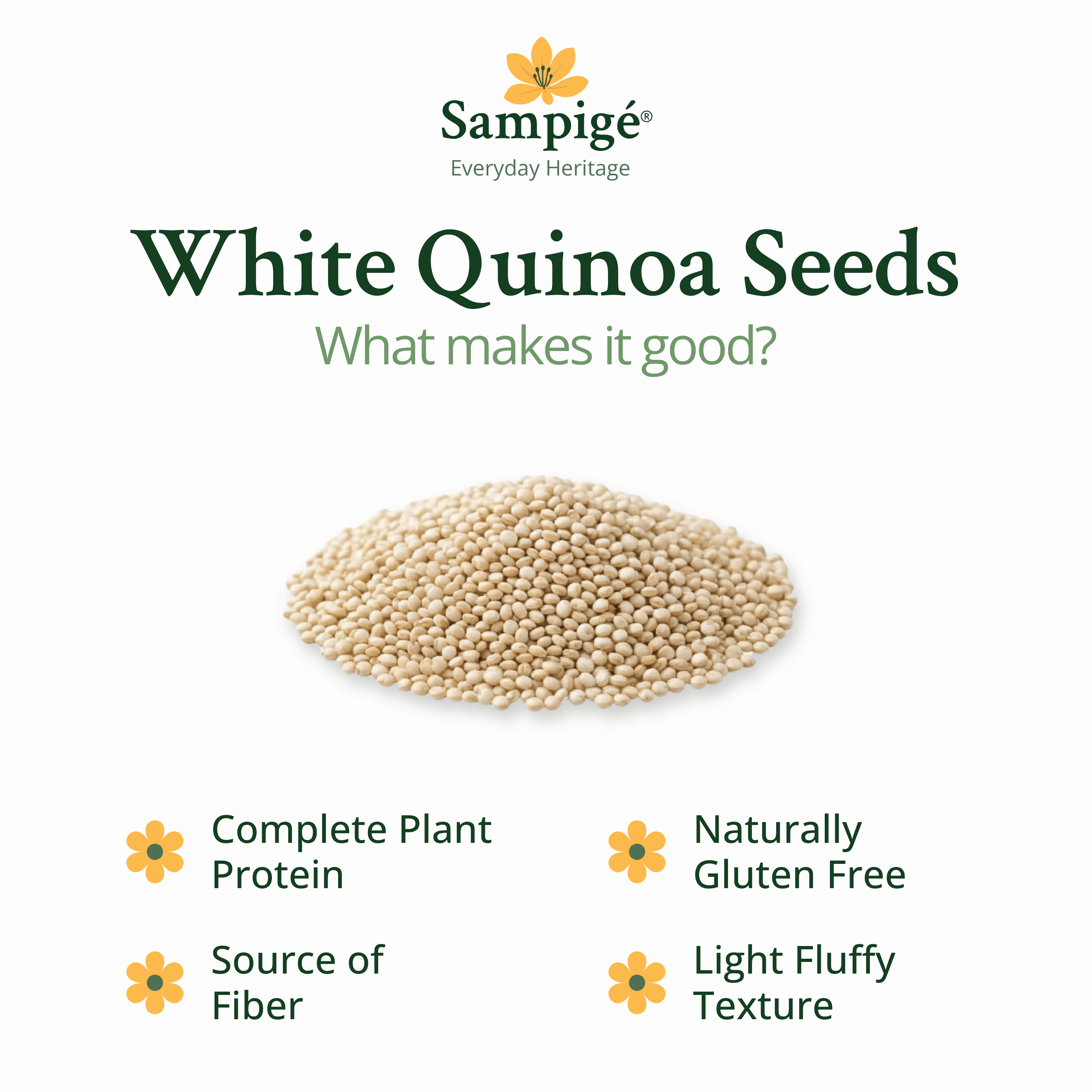 Sampige White Quinoa Seeds