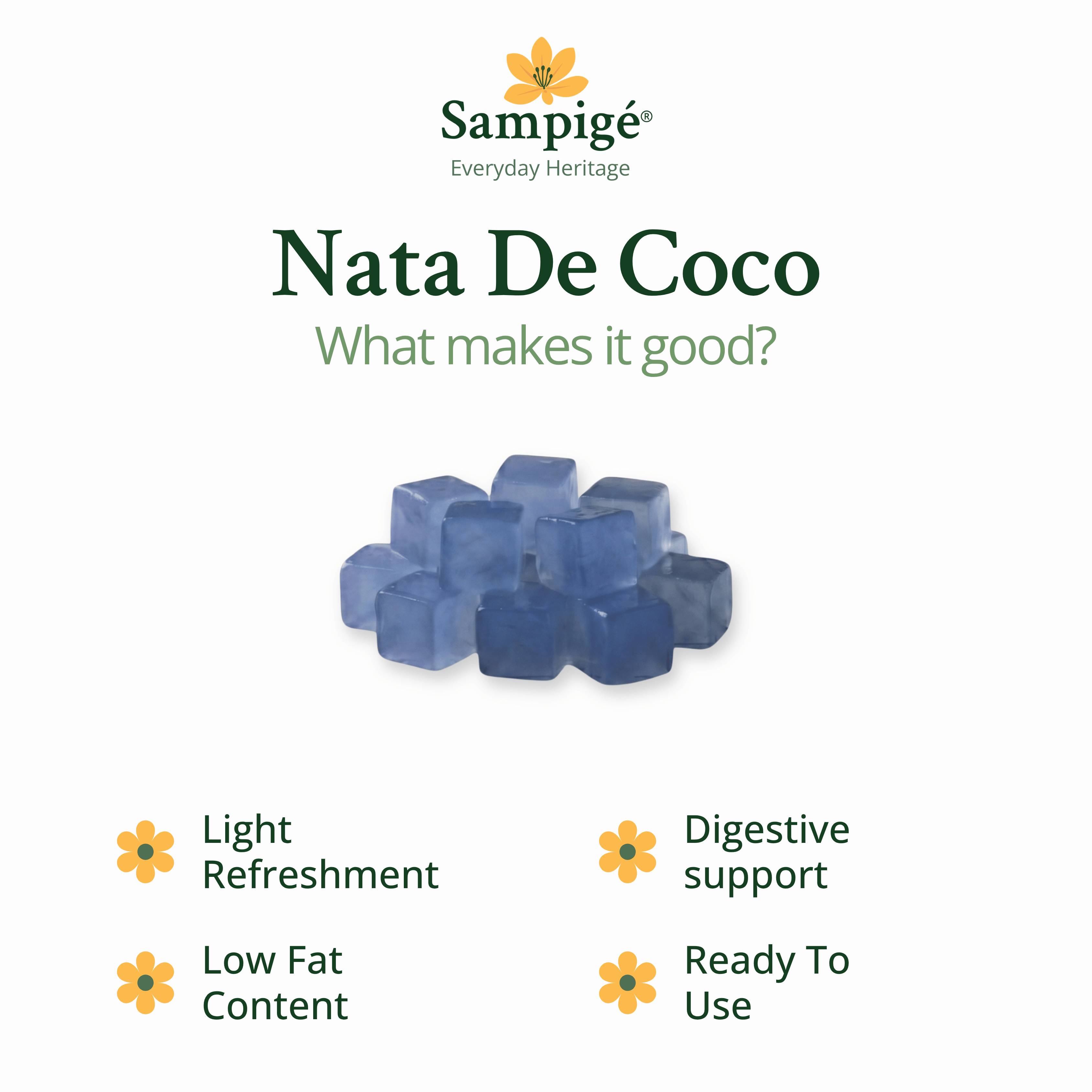 Sampige Nata De Coco - Blueberry