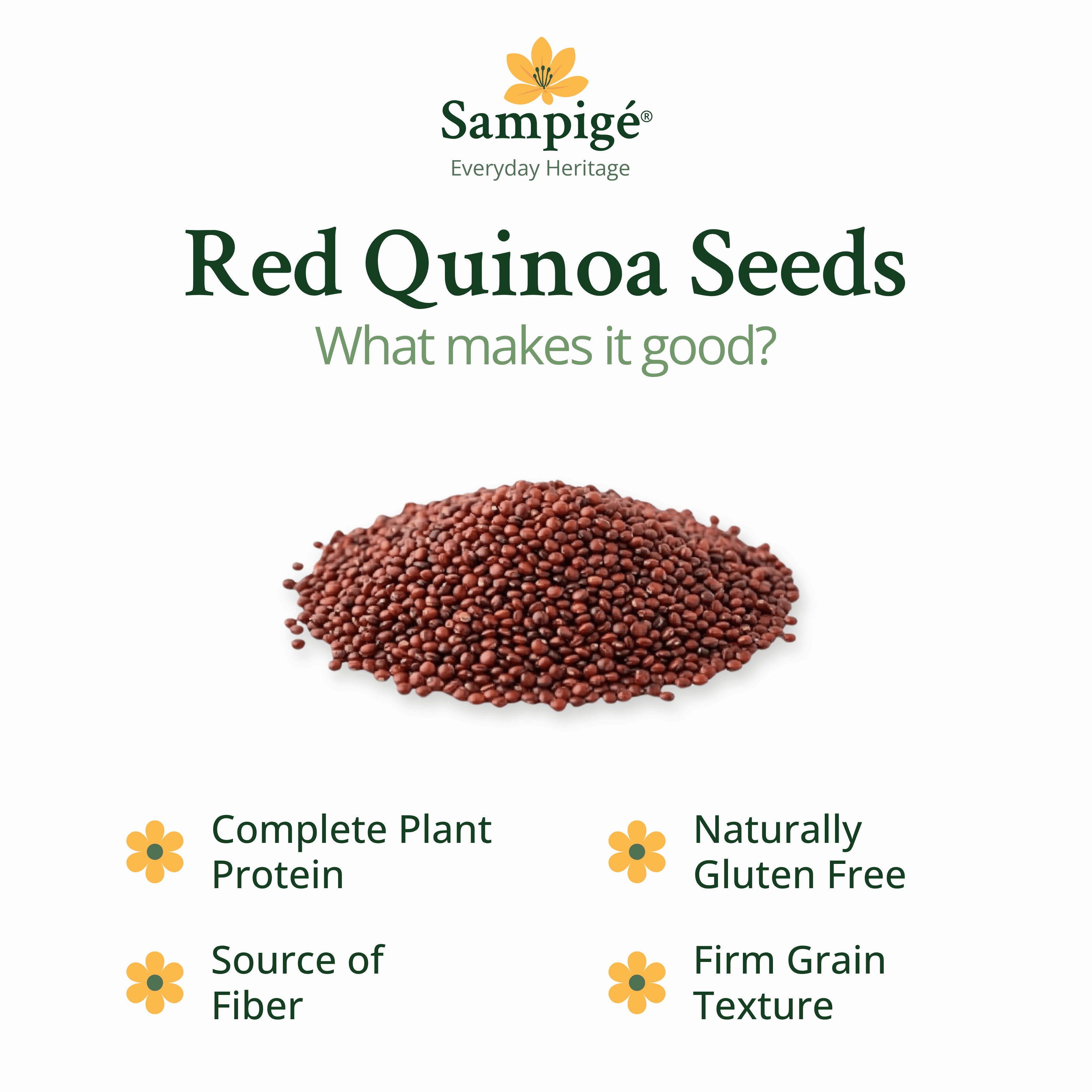 Sampige Red Quinoa Seeds