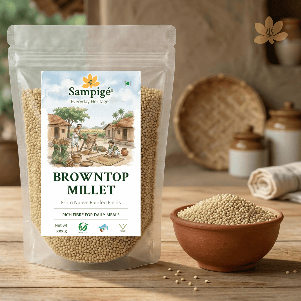 Sampige Browntop Millet