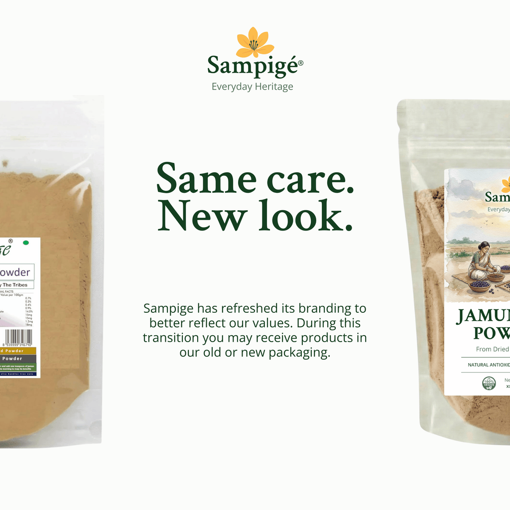 Sampige Jamun Seed Powder