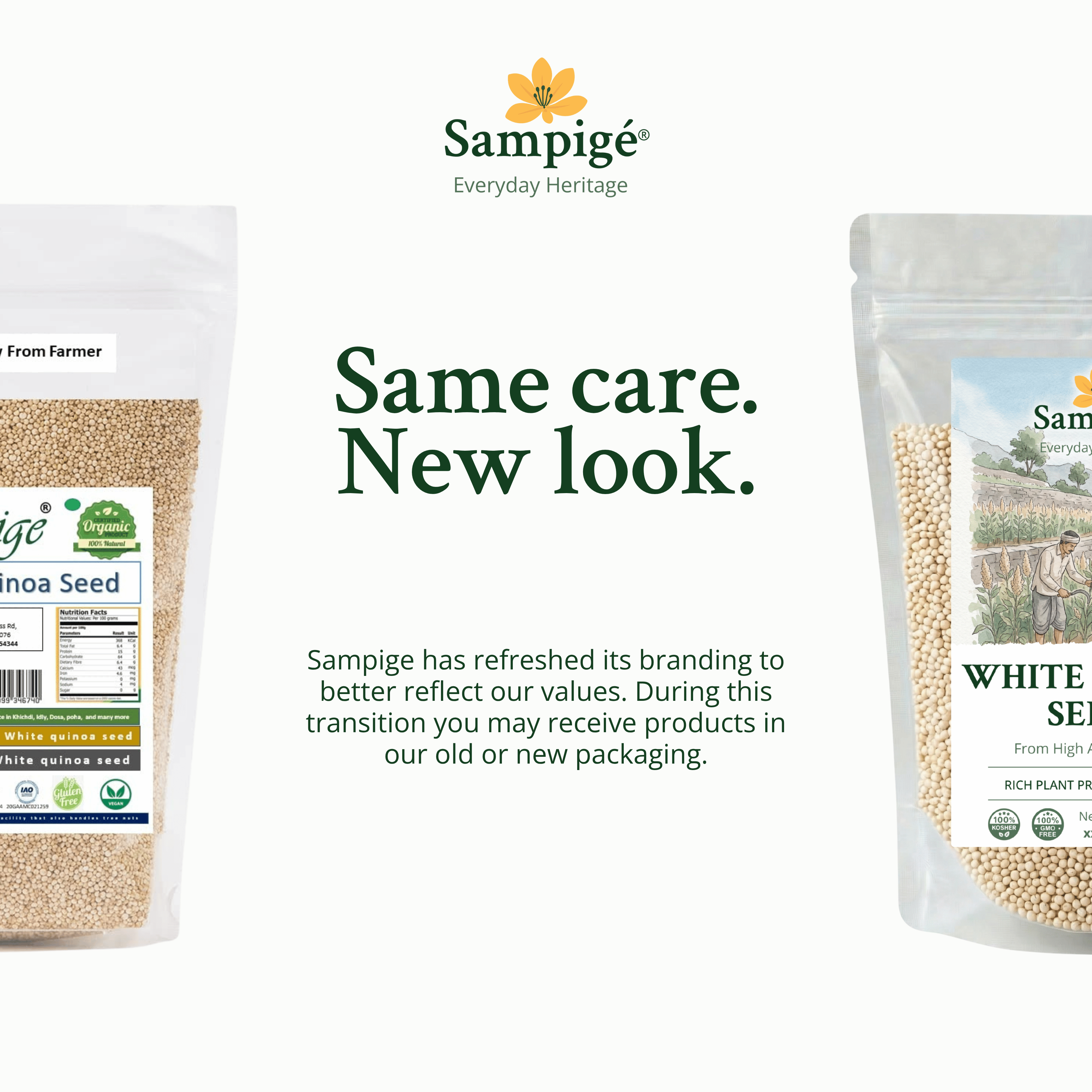 Sampige White Quinoa Seeds