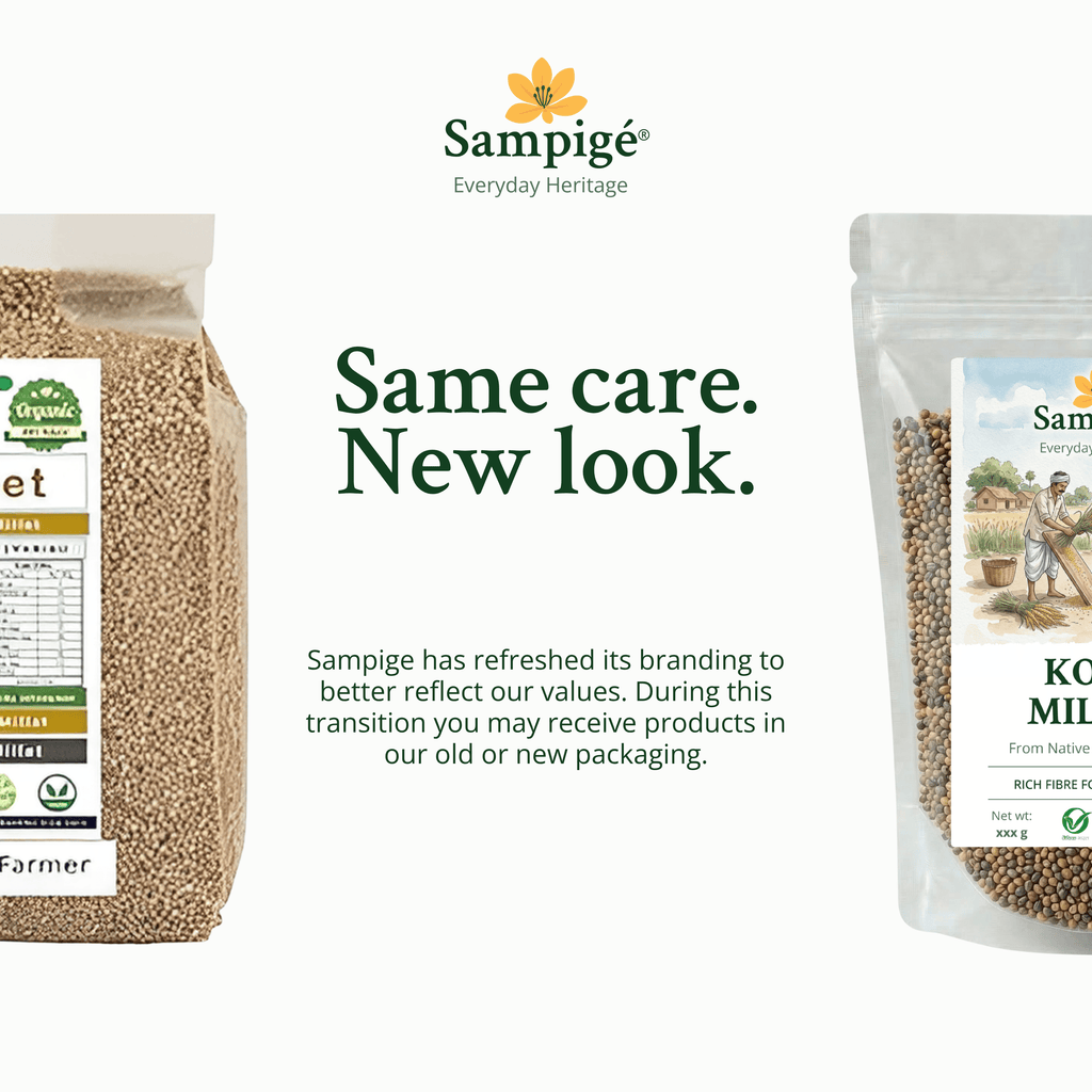 Sampige Kodo Millet