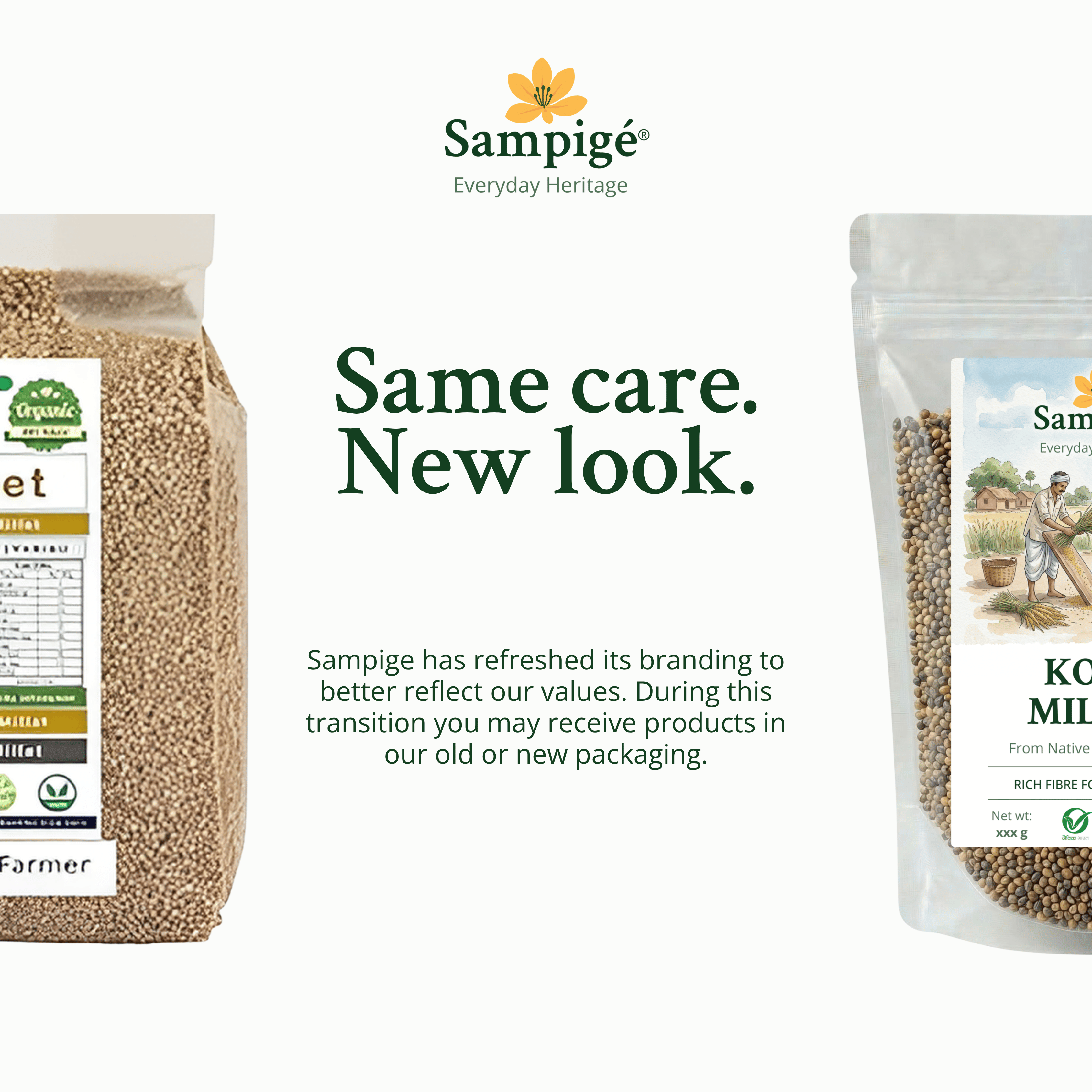 Sampige Kodo Millet