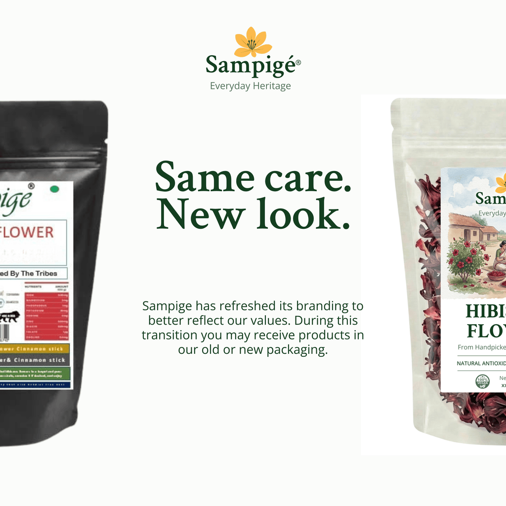 Sampige Hibiscus Flower