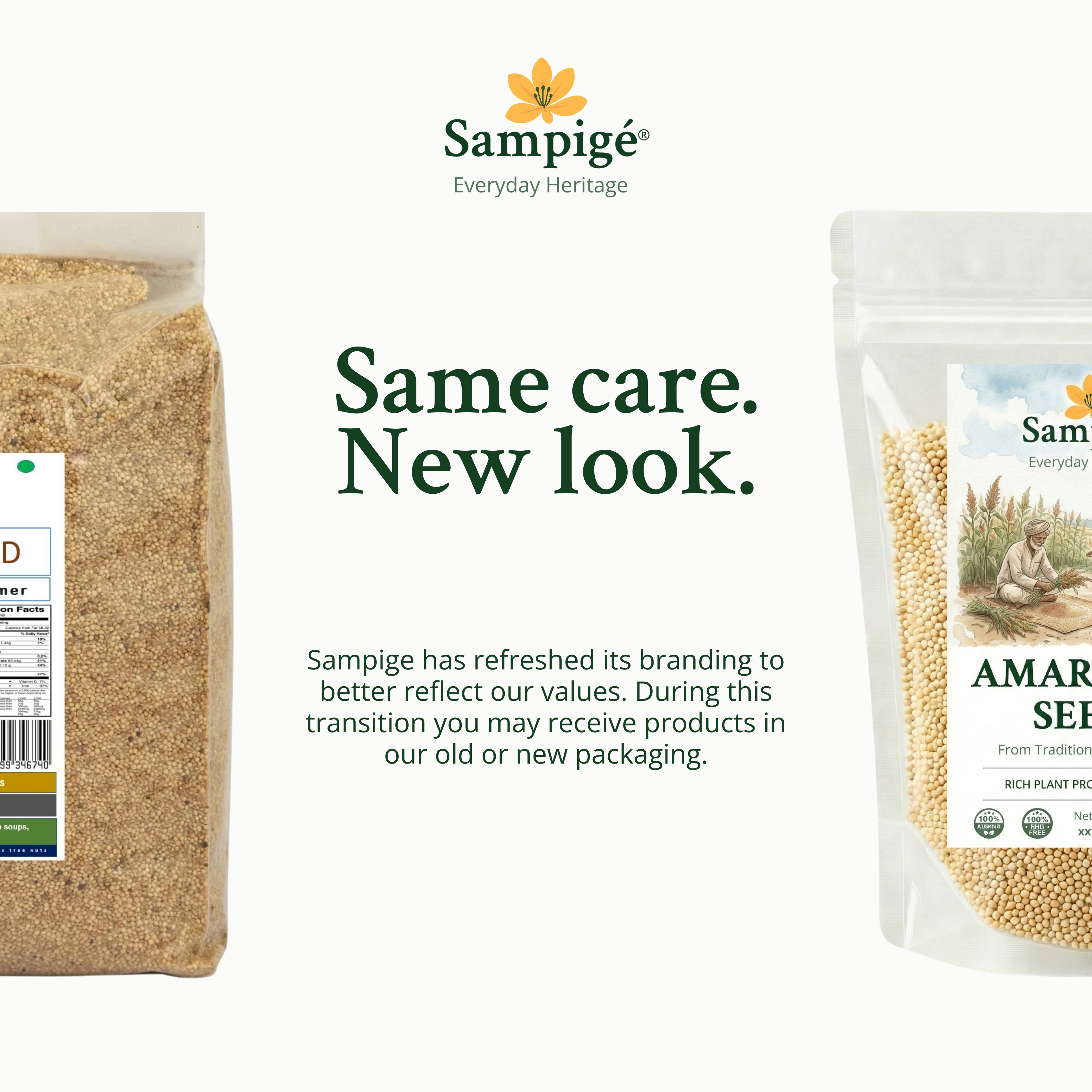 Sampige Amaranth Seeds