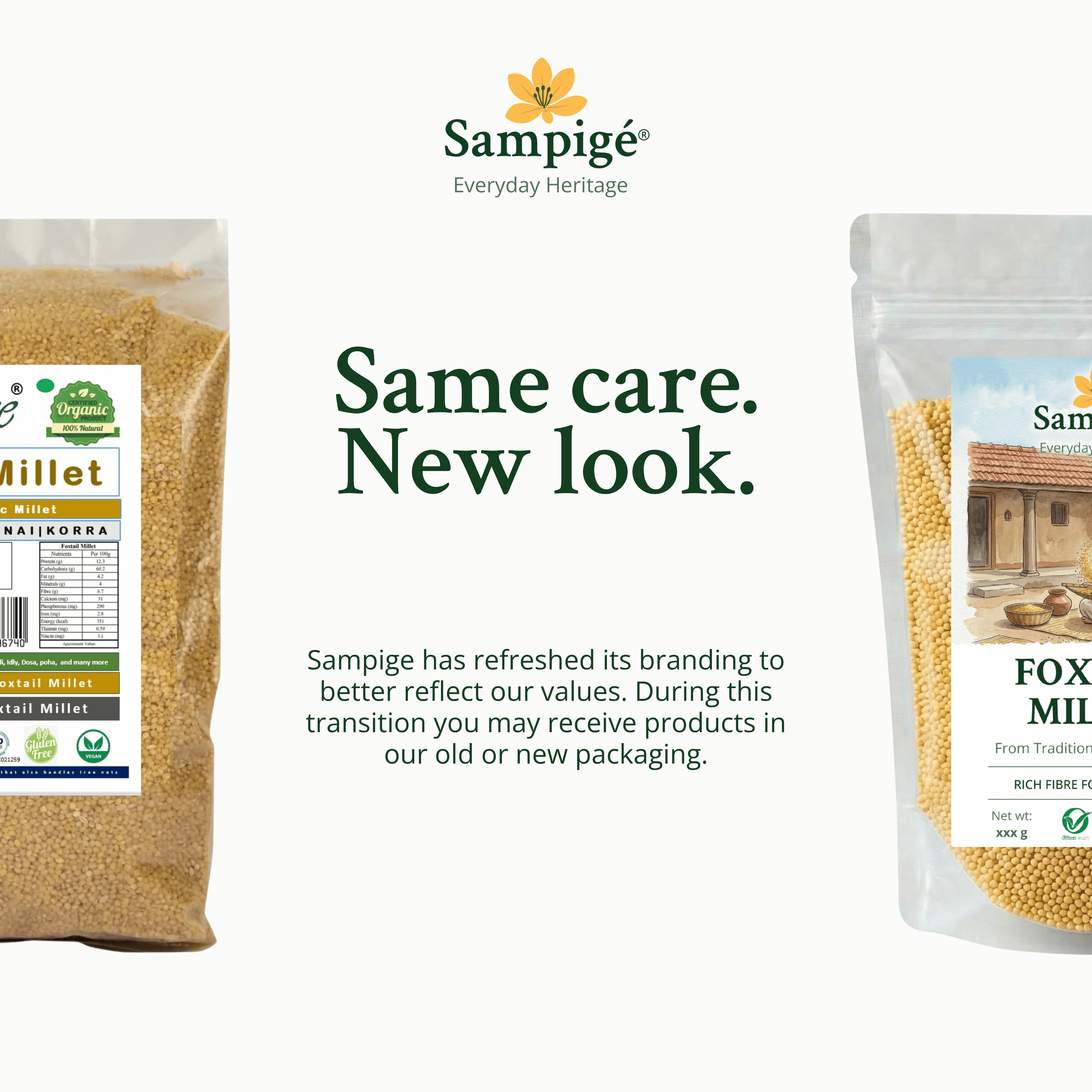 Sampige Foxtail Millet