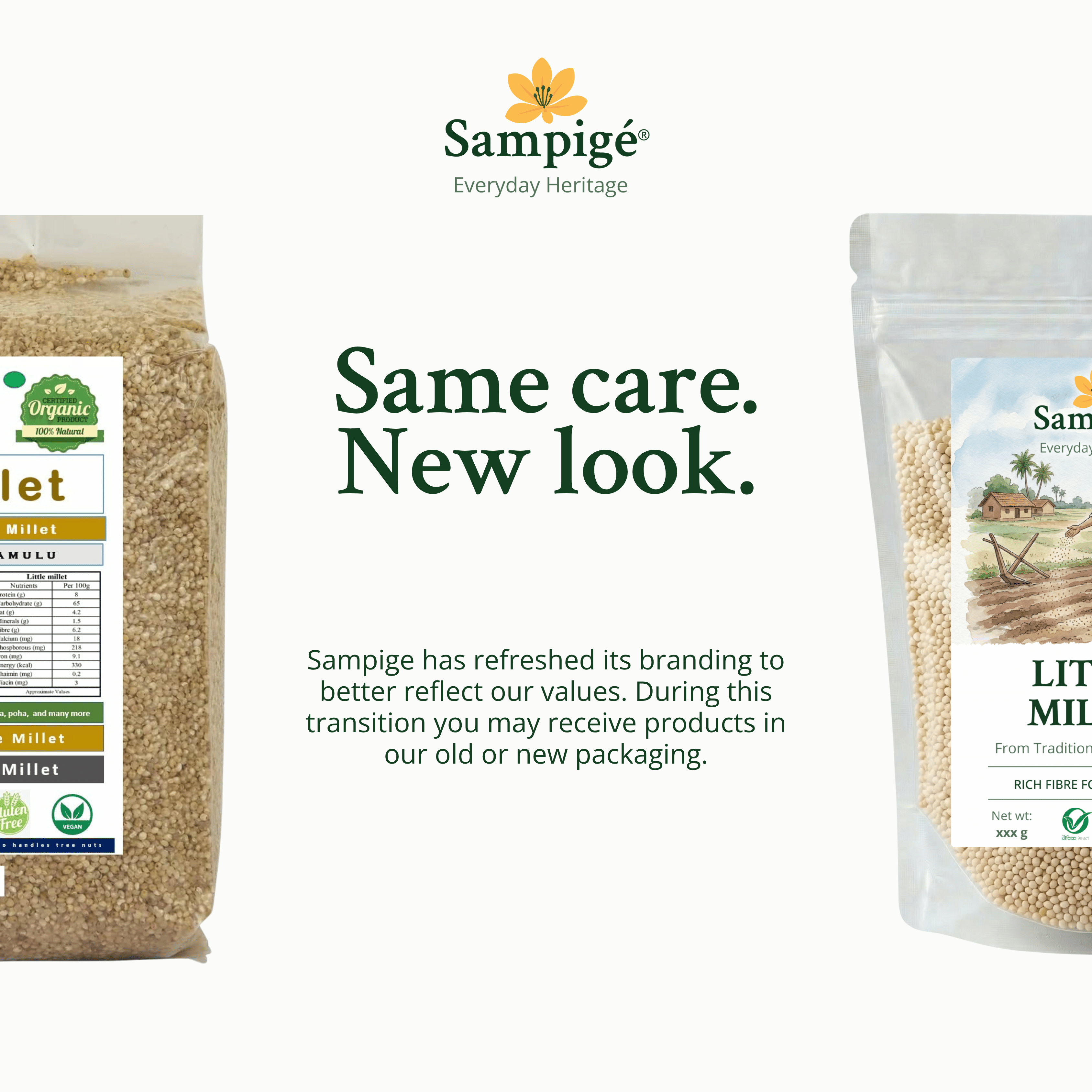Sampige Little Millet