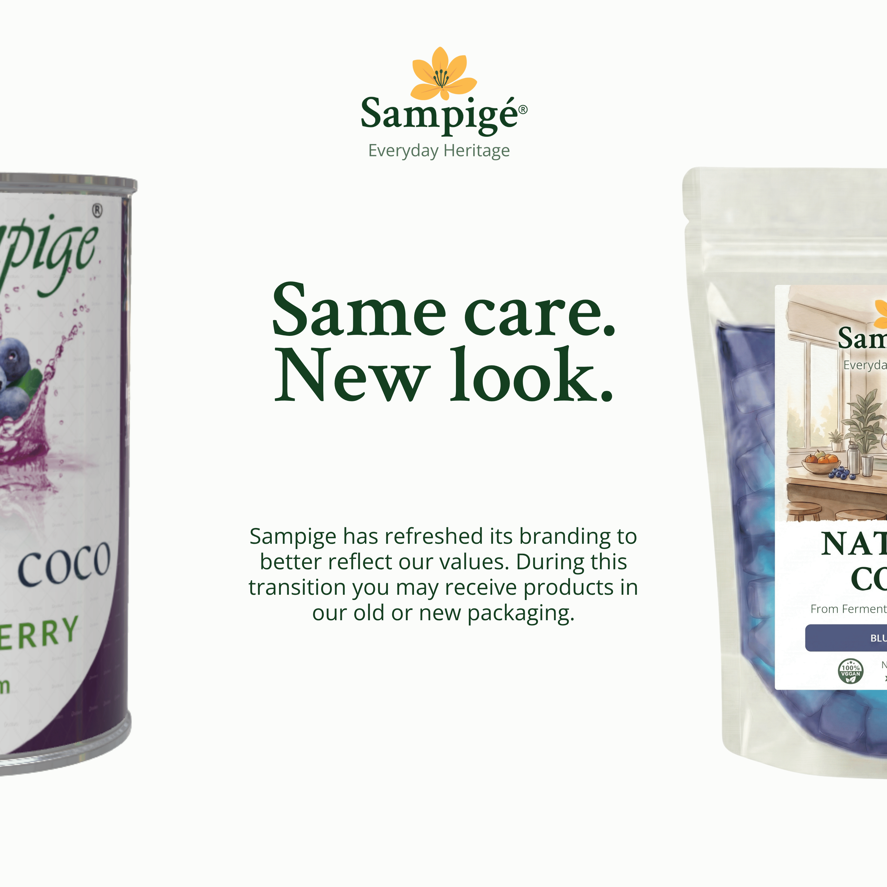 Sampige Nata De Coco - Blueberry