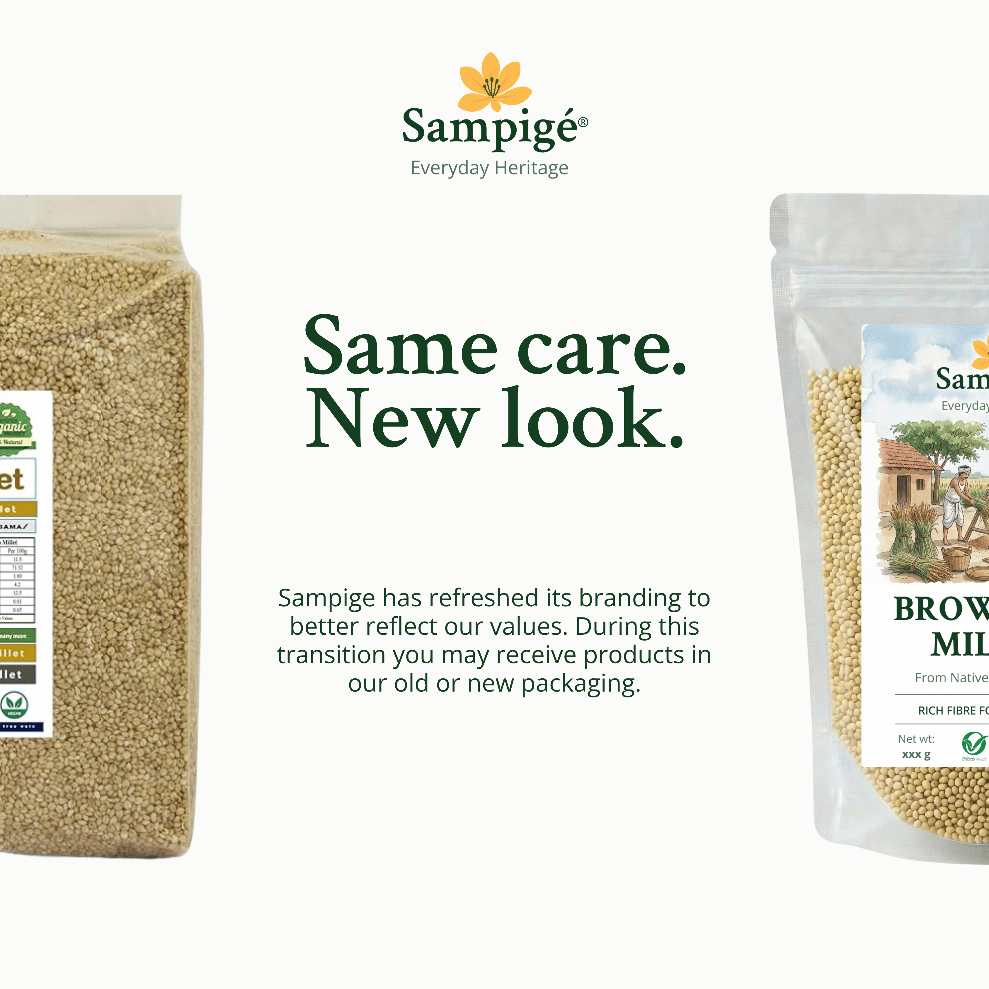 Sampige Browntop Millet