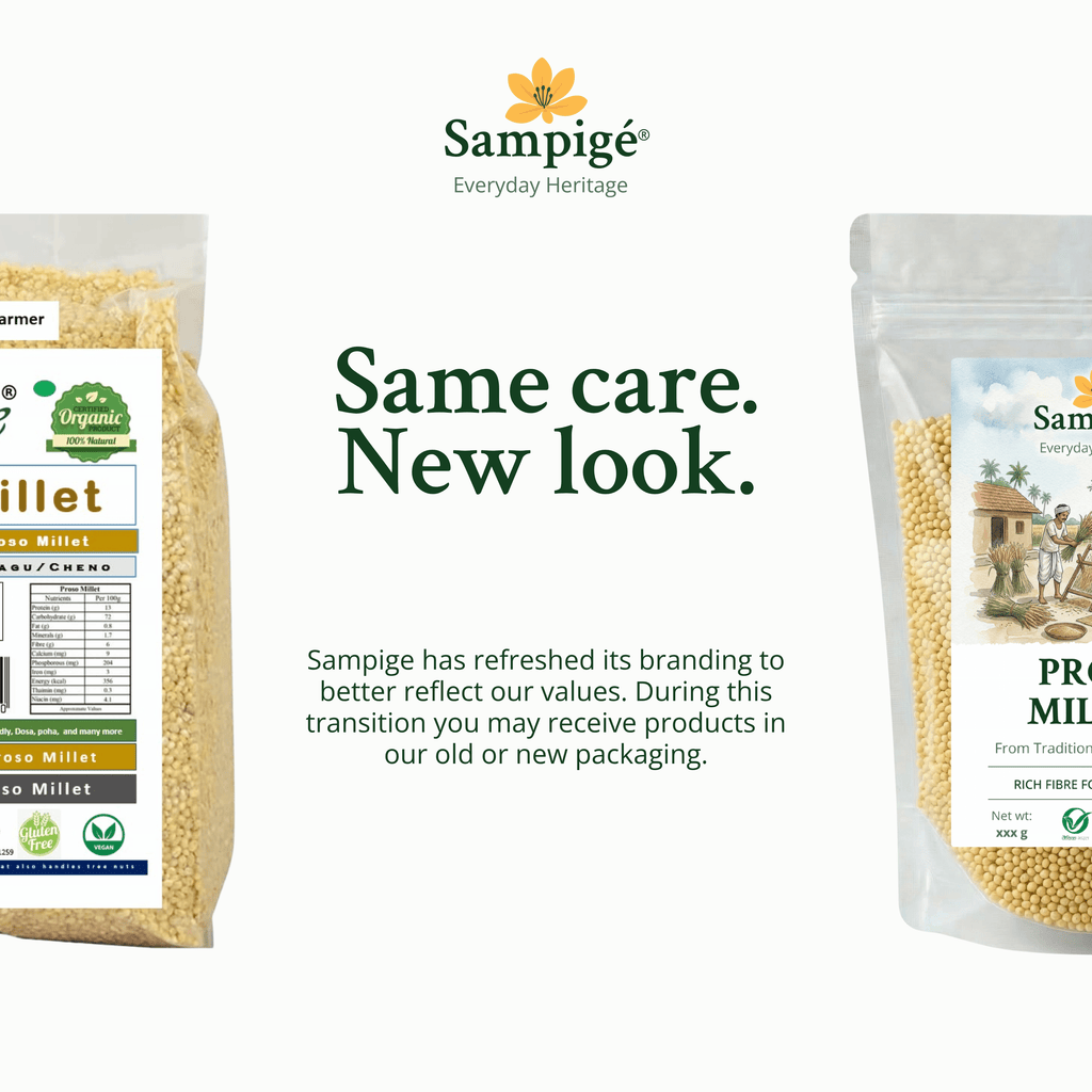 Sampige Proso Millet