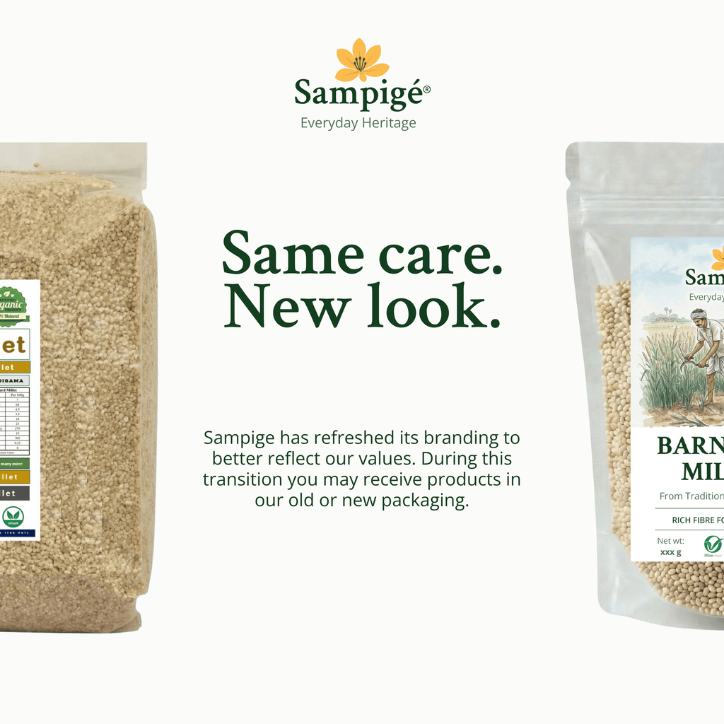 Sampige Barnyard Millet