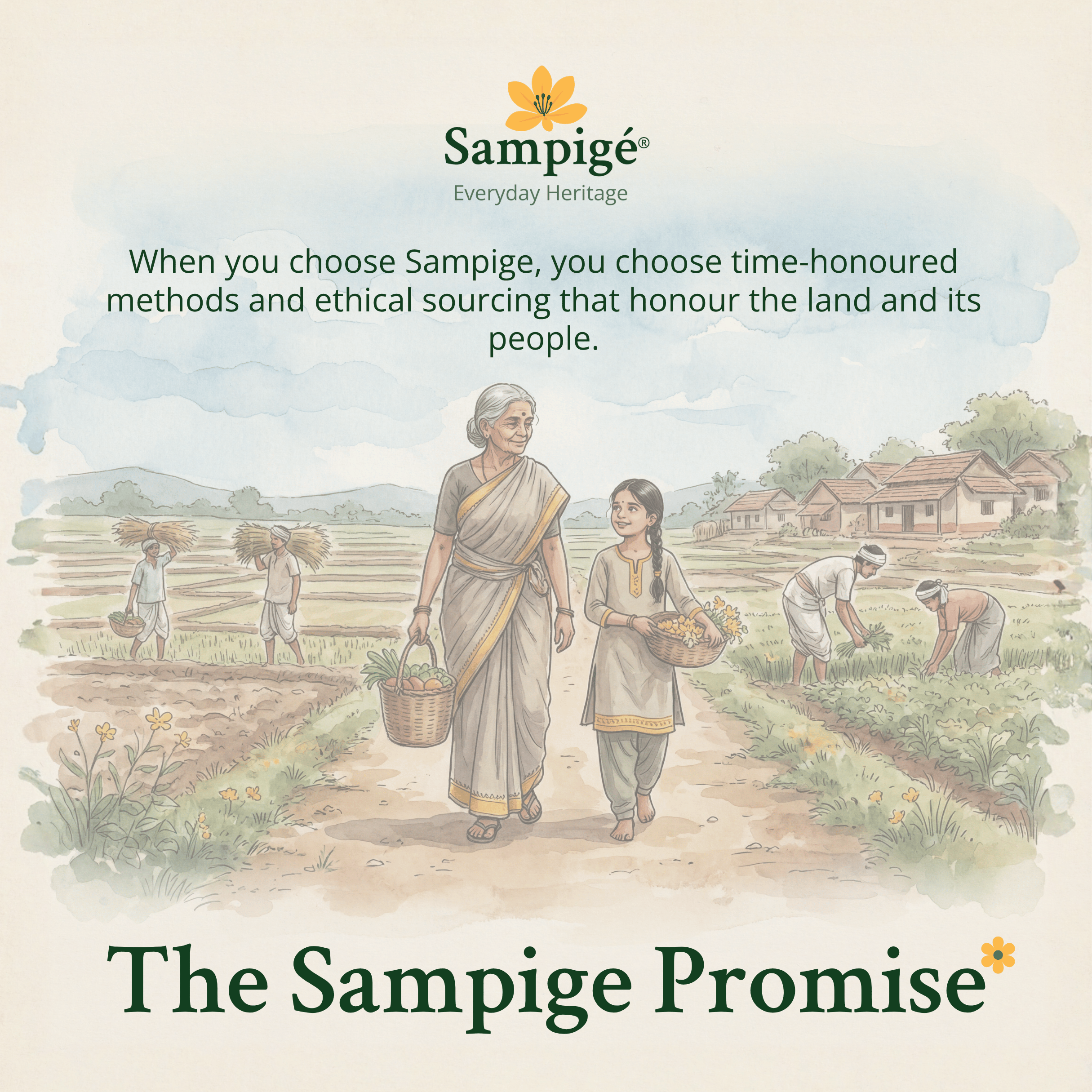 Sampige Ashwagandha Root